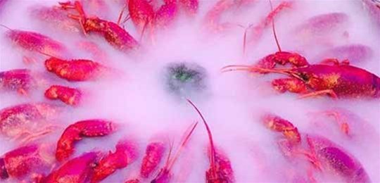 如何選擇山西高純氣體管道配管及附件材料？